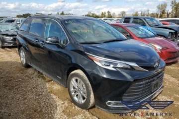 Sienna Platinum Limited 2020