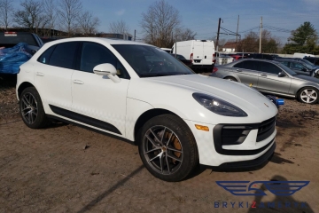 Macan